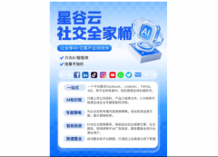 星谷云ikTok线上流量取线下数据